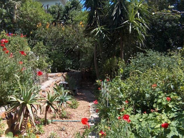 Rachel'S Home From Home Cape Town Ngoại thất bức ảnh